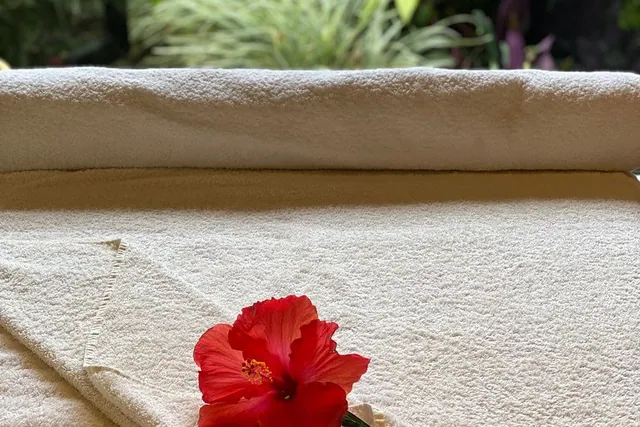 Experiences and therapies at The Amraasa Spa