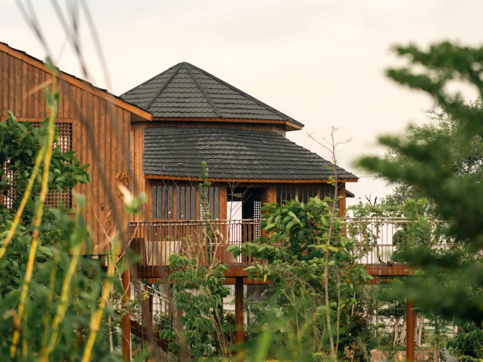 A Tree Cottage raised on stilts above the planting